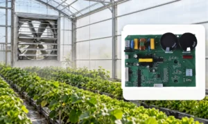 Greenhouse Negative-Pressure Ventilation