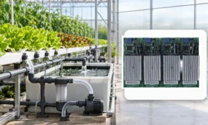 Hydroponic Water Circulation