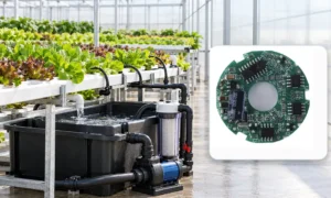Hydroponic Nutrient Circulation